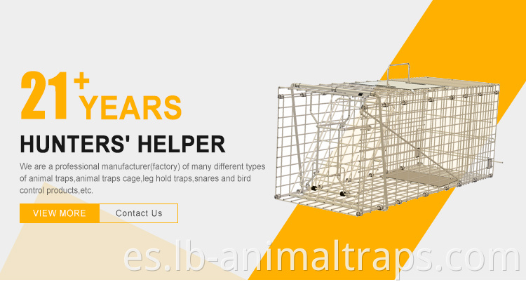 Gato de conejo Hare Fox Trap Bird Trap Humany Possum Cage Vive Animal Catch